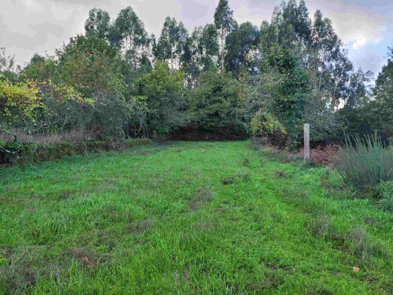 terreno para construção