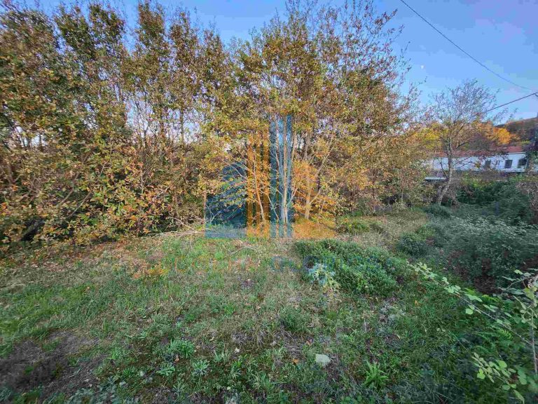 Terreno para construção em Ribeiradio, Oliveira de Frades